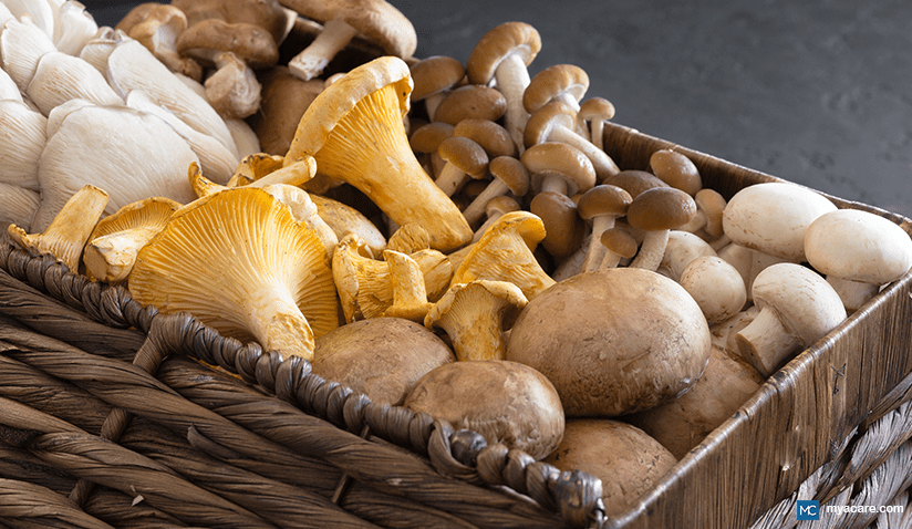 3 MUSHROOMS SCIENTIFICALLY PROVEN TO BOOST YOUR IMMUNE SYSTEM