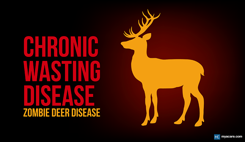 HUMAN RISK REAL? ASSESSING THE POTENTIAL TRANSMISSION OF "ZOMBIE DEER DISEASE"