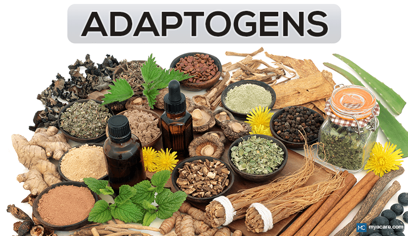 ADAPTOGENS: BOOSTING WELLNESS AND RESILIENCE THE NATURAL WAY