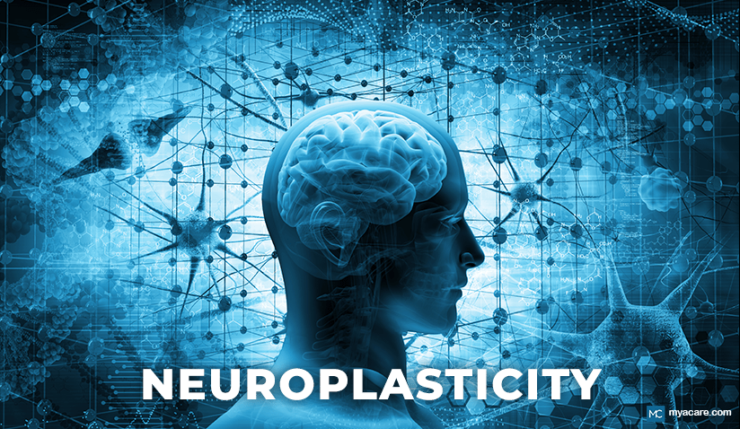 WHAT IS NEUROPLASTICITY?