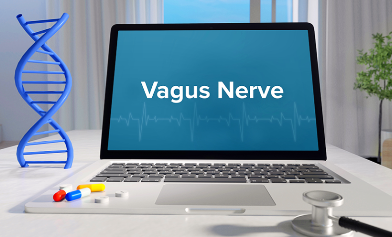 THE VAGUS NERVE: WHAT IS IT, AND WHAT ISSUES AFFECT IT?