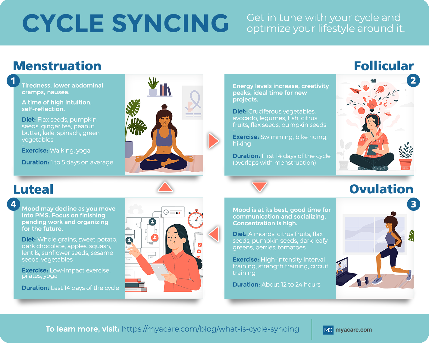 Cycle Syncing Workouts: How to Optimize Your Workouts and Nutrition with  Your Menstrual Cycle 