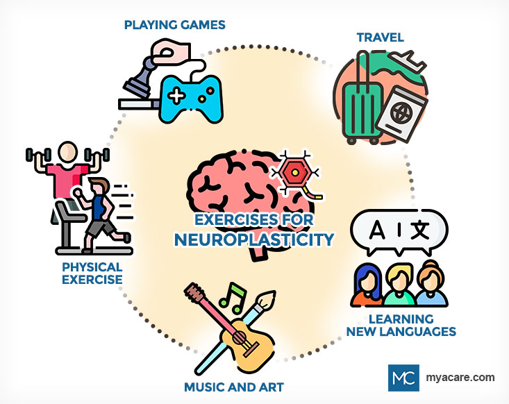 Exercises for Neuroplasticity - Travel, Learning new languages, Music and Art, Physical Exercise, Playing games