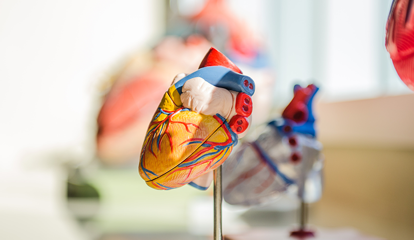 HEART DISEASE - FACT VS FICTION