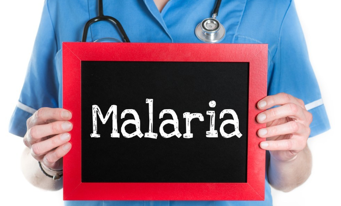 BEATING MALARIA: WHAT HAVE BEEN THE CHALLENGES AND WHAT ARE THE OPPORTUNITIES