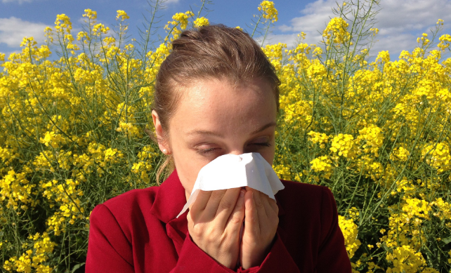 SIGNS YOU ARE SUFFERING FROM HAY FEVER WHAT TO DO ABOUT IT Mya Care