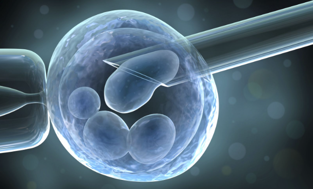 MINIMAL STIMULATION IVF: A PROMISING NEW DOOR TO PARENTHOOD Fertiliy